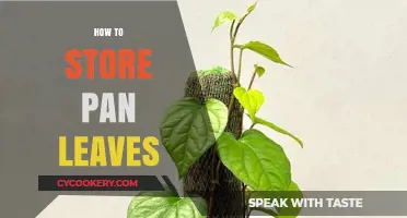Storing Pan Leaves: Tips and Tricks