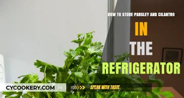 Fresh Forever: Optimal Refrigeration Tips for Parsley and Cilantro