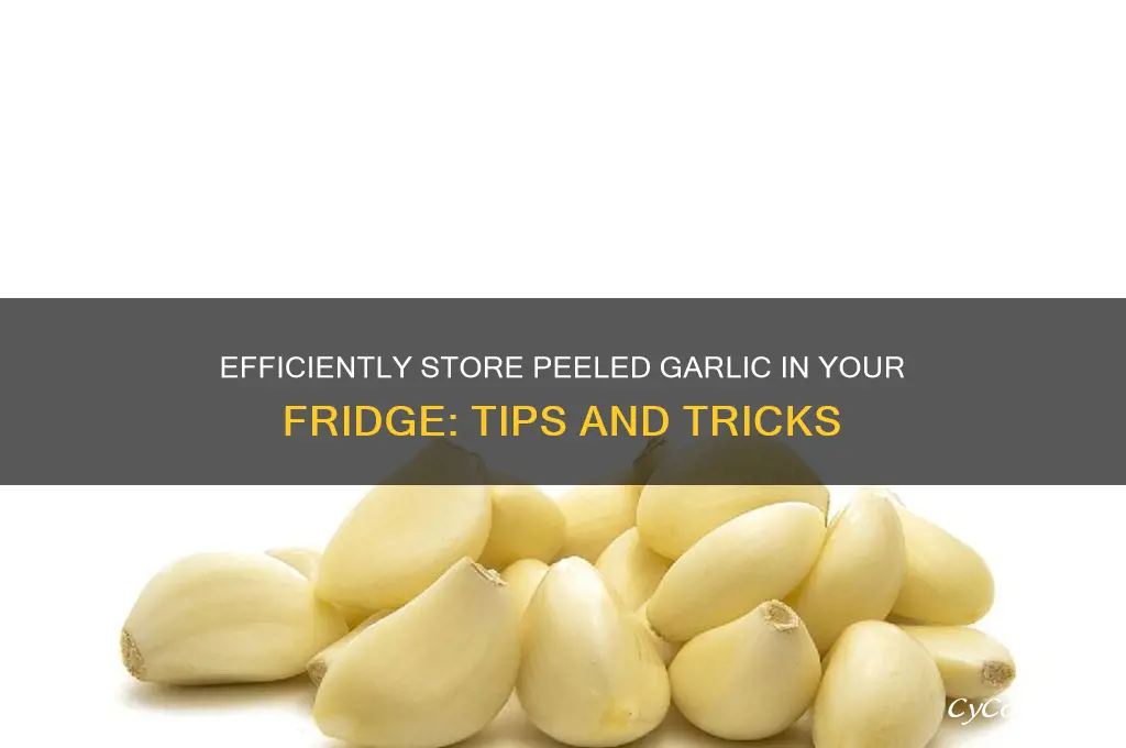 how to store peeled garlic in refrigerator