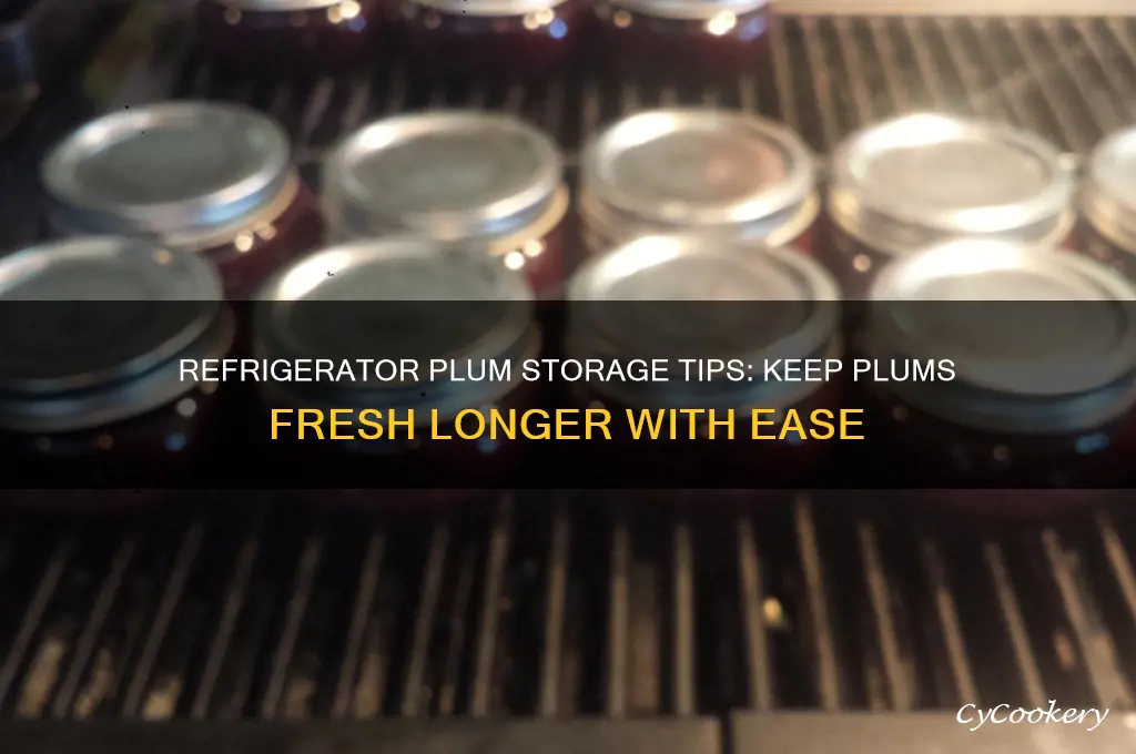 how to store plums in the refrigerator