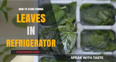 Fresh Pudina Leaves: Easy Refrigerator Storage Tips for Longer Use