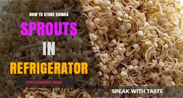 Easy Tips for Storing Quinoa Sprouts Fresh in Your Fridge