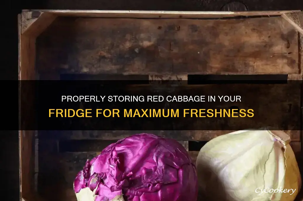 how to store red cabbage in refrigerator