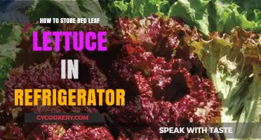 Fresh Forever: Optimal Refrigerator Storage for Red Leaf Lettuce