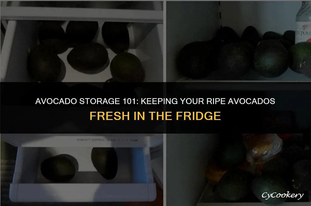 how to store ripe avocados in the refrigerator