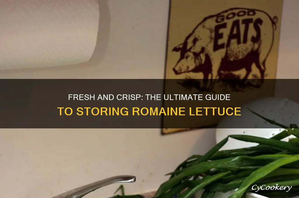 how to store romain lettuce in refrigerator