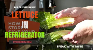 Fresh & Crisp: Best Ways to Store Romaine Lettuce in Your Fridge
