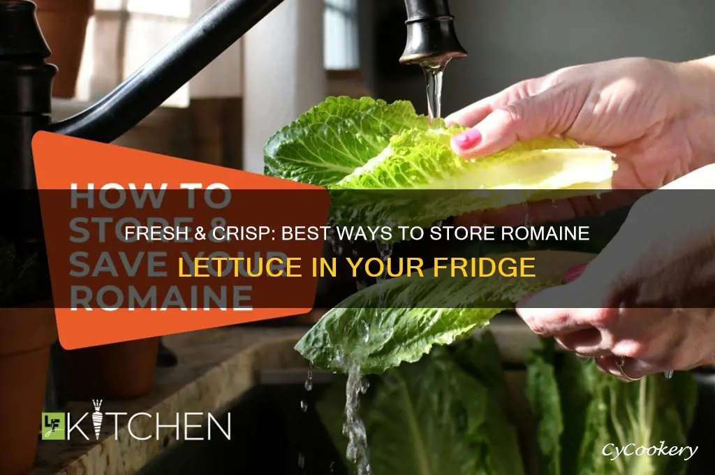 how to store romaine lettuce in refrigerator