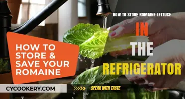 Keep Your Romaine Fresh: The Ultimate Refrigeration Guide