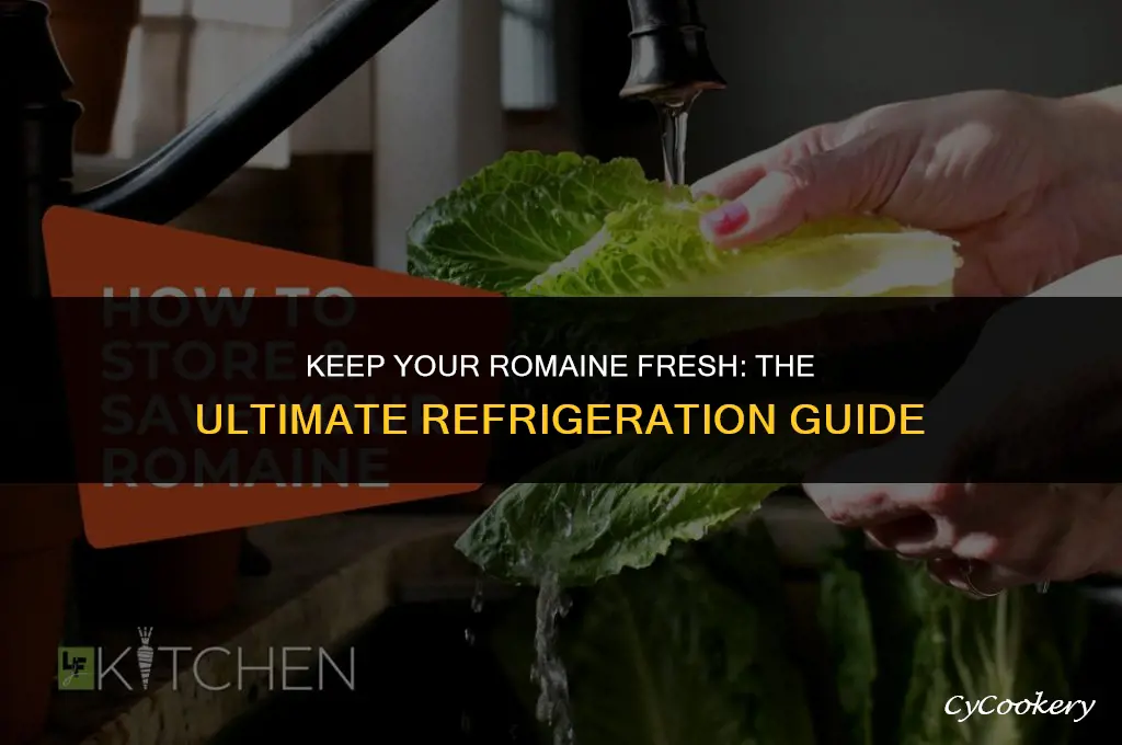 how to store romaine lettuce in the refrigerator