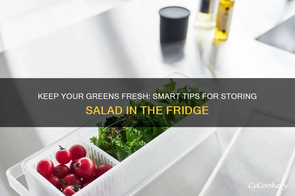 how to store salad in the refrigerator