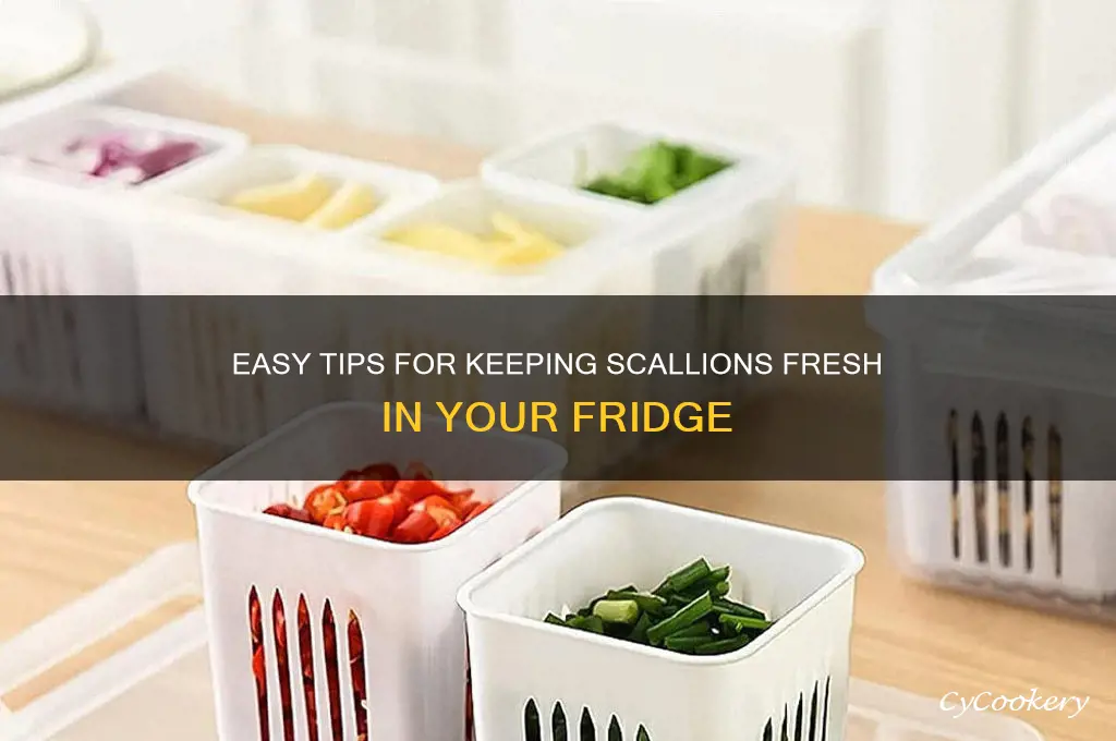 how to store scallions in the refrigerator