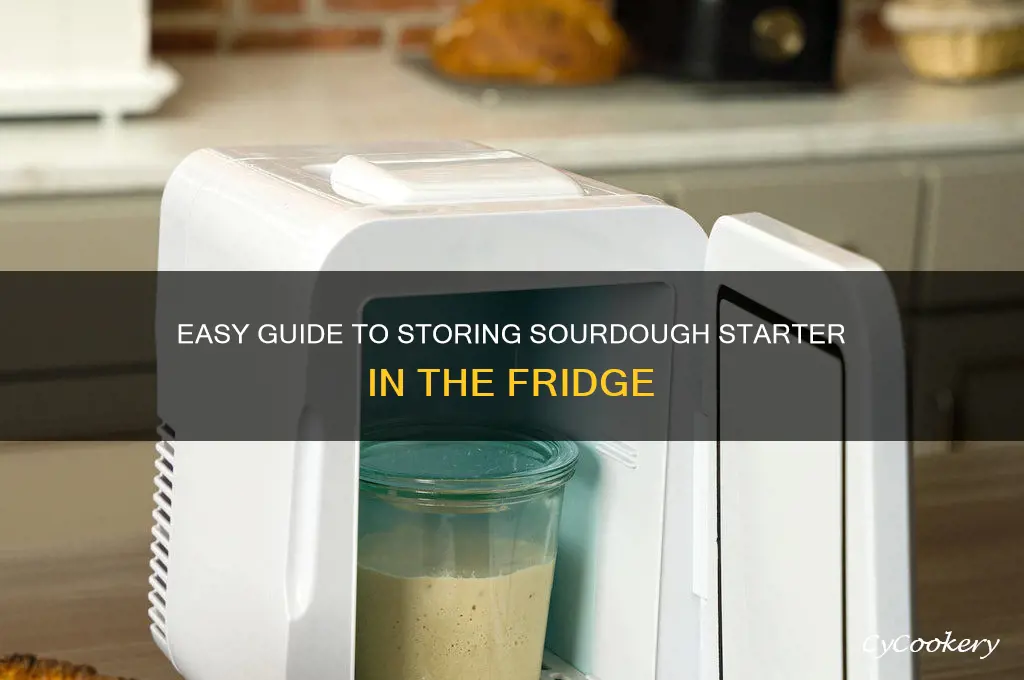how to store sourdough starter in refrigerator