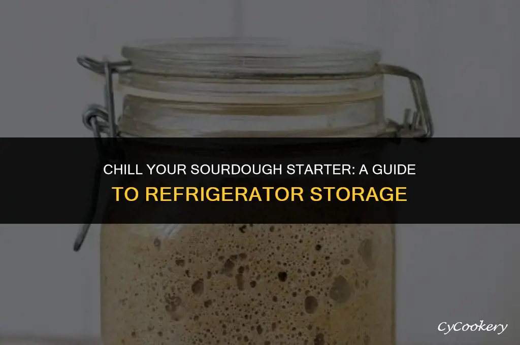 how to store sourdough starter in the refrigerator