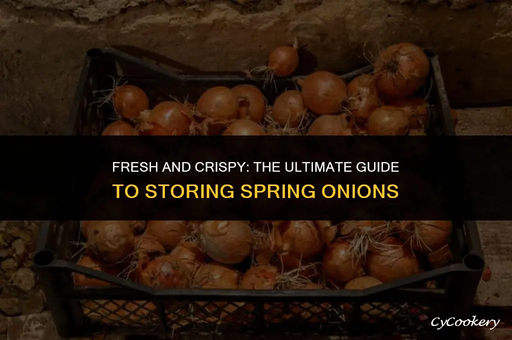 how to store spring onions in the refrigerator