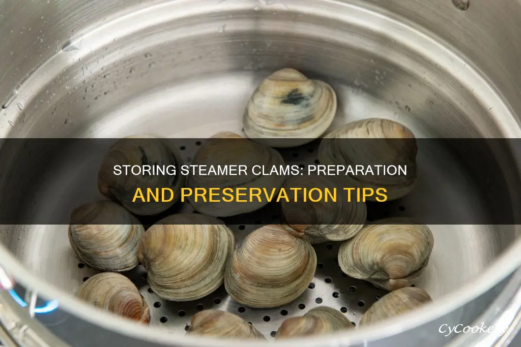 how to store steamer clams before cooking