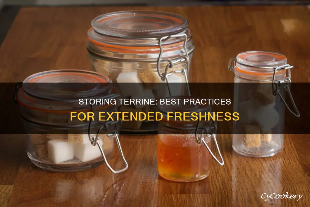 how to store terrine