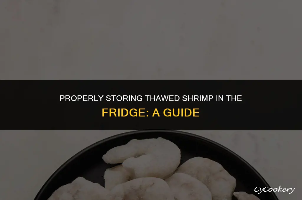 how to store thawed shrimp in the refrigerator