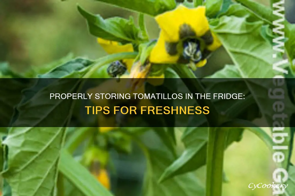 how to store tomatillos in the refrigerator