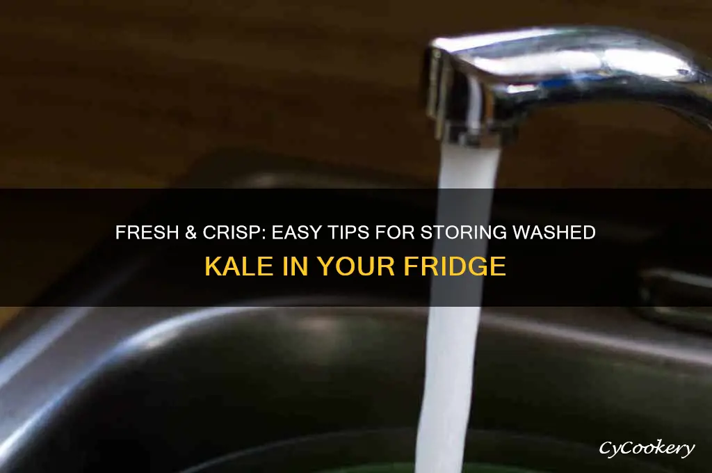 how to store washed kale in refrigerator