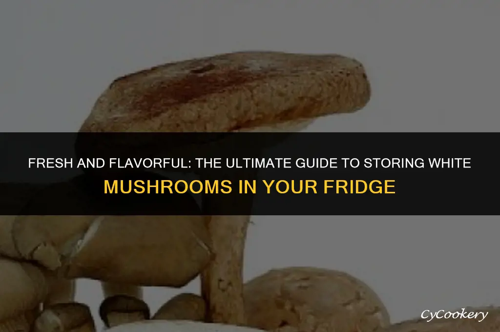 how to store white mushrooms in the refrigerator