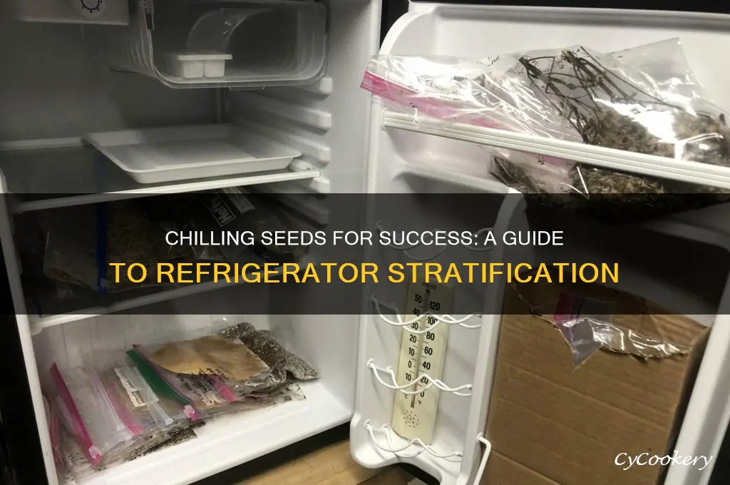 how to stratify seeds in the refrigerator