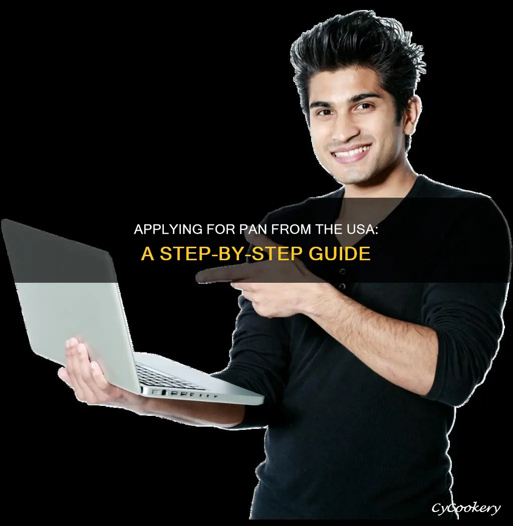 how to submit pan application from usa