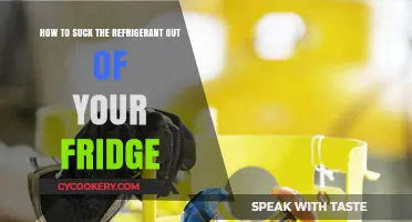 Chill Maintenance: DIY Guide to Refrigerant Removal