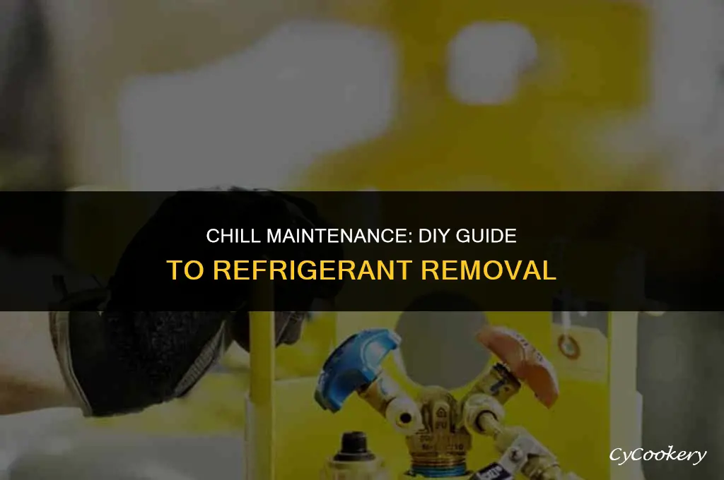 how to suck the refrigerant out of your fridge