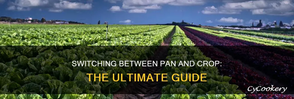 how to switch between pan and crop