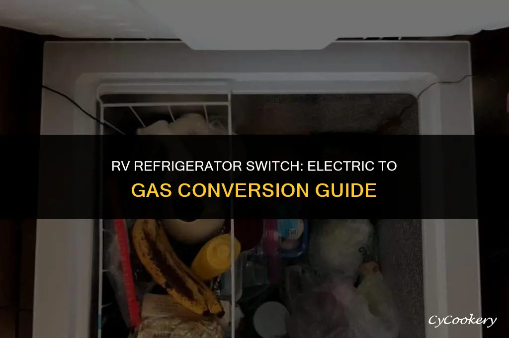 how to switch rv refrigerator from electric to gas
