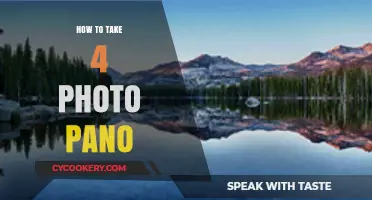 Capturing Panoramic Views: Taking 4-Photo Panoramas