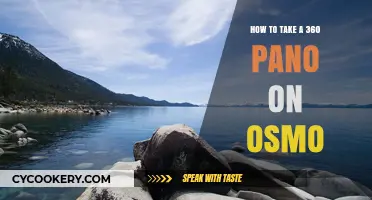 Capturing 360 Panoramas with Osmo: A Guide
