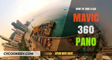 Mastering the Art of 360 Pano with DJI Mavic