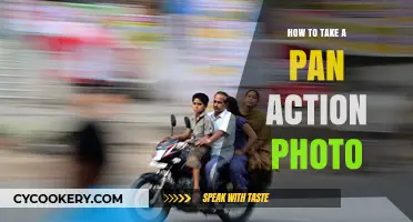 Capturing Action: Panning for Perfect Shots