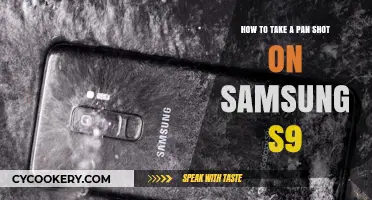 Mastering Pan Shots with Your Samsung S9