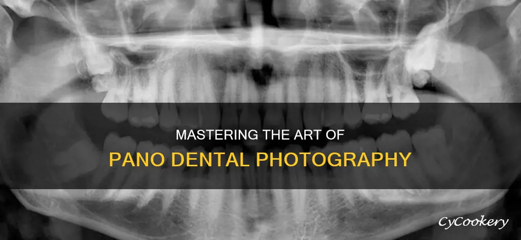 how to take a pano dental