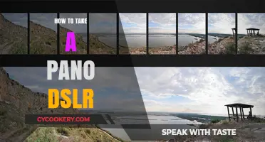 Capturing Panoramic Photos: DSLR Techniques
