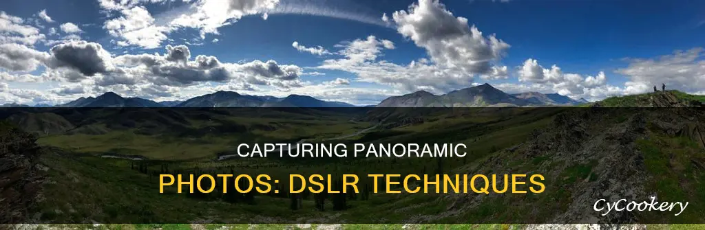 how to take a pano dslr