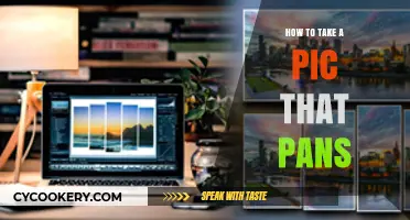 Capturing Panoramic Photos: Tips for the Perfect Pan Shot