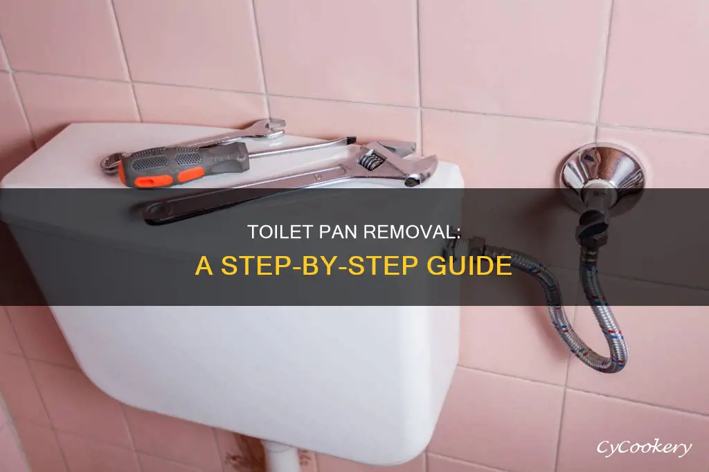 how to take a toilet pan out
