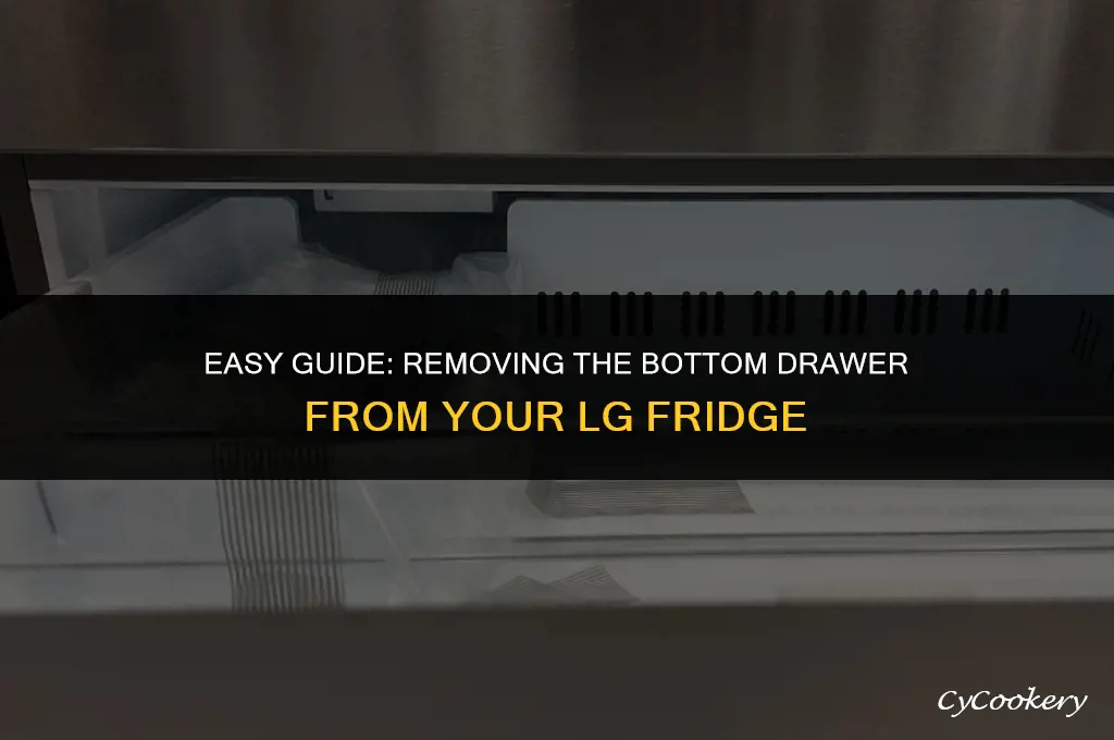how to take bottom drawer out of lg refrigerator