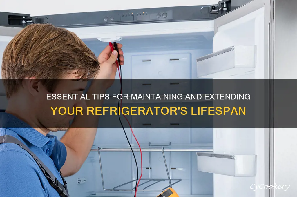 how to take care of a refrigerator