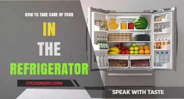 Freshness Preserved: Expert Tips for Optimal Refrigerator Food Care