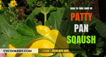 The Ultimate Guide to Growing Patty Pan Squash