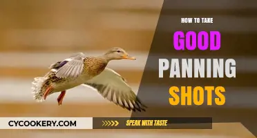 Mastering Panning Shots: Capturing Motion with Precision