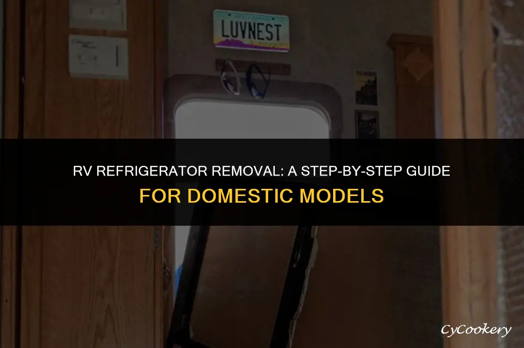 how to take out dometic refrigerator from rv