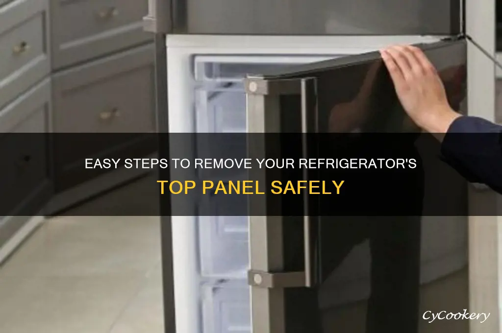 how to take out refrigerator top panel