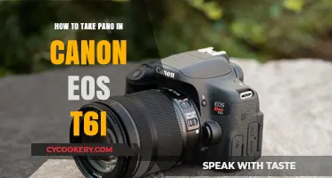 Capturing Panoramic Photos with Your Canon EOS T6i