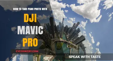 Mastering Panoramic Shots with Your DJI Mavic Pro